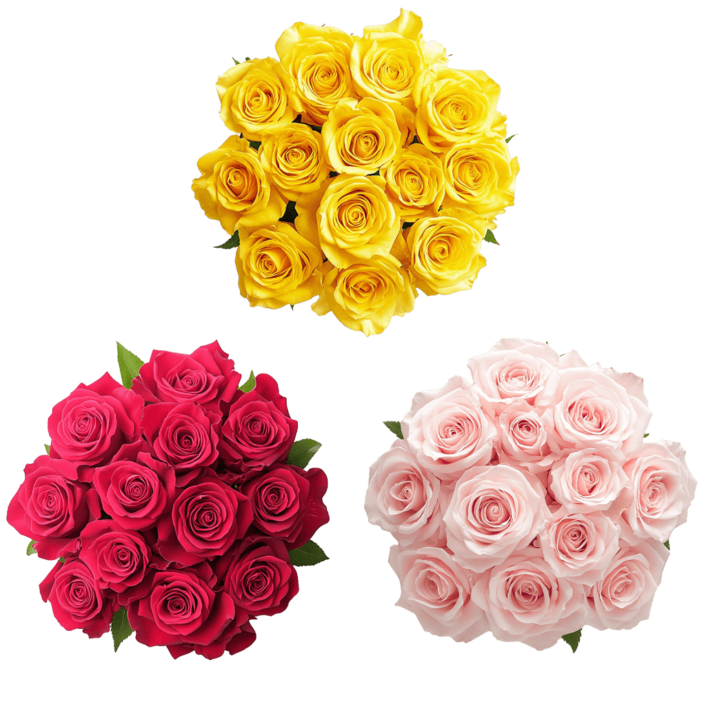 Dozen Assorted Colors of Roses