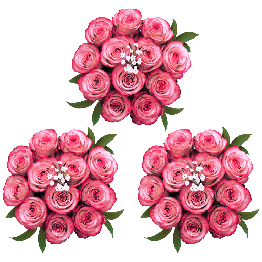 Dozen of Deep Purple Roses with Fillers