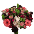 Exteme Delight Bouquets